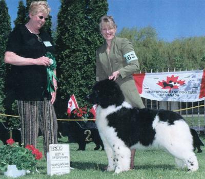 Noname, Grand Sweeps Winner, Canadian National Specialty